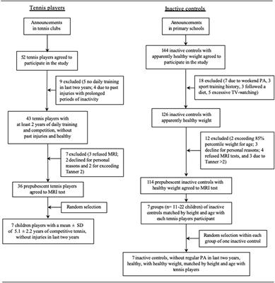 Greater Reduction in Abdominal Than in Upper Arms Subcutaneous Fat in 10- to 12-Year-Old Tennis Players: A Volumetric MRI Study